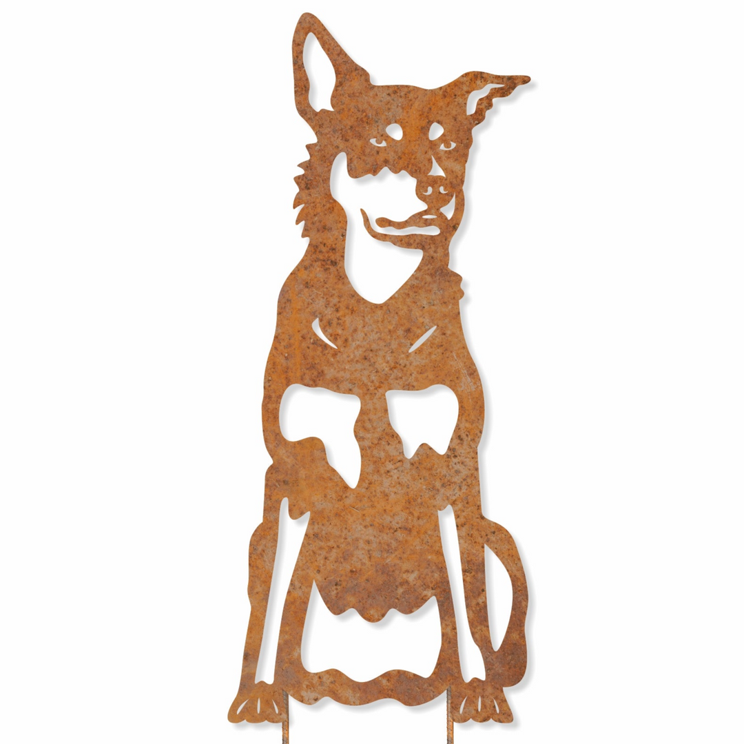 Metal Australian Kelpie