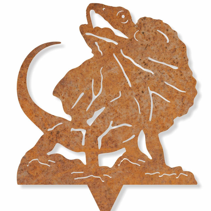 Metal Frill-Neck Lizard
