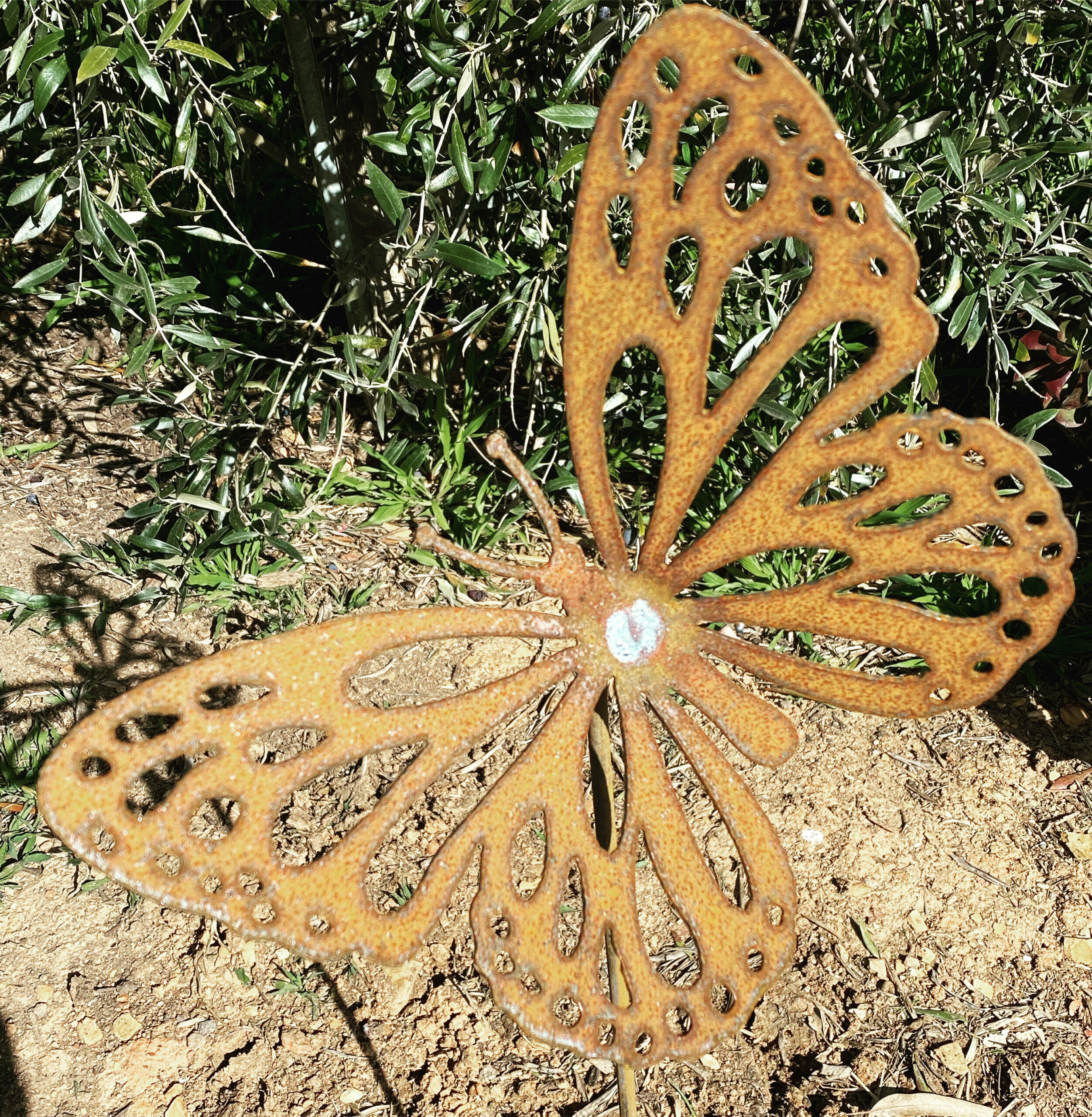 Buy Diamond Art - Butterfly at Mighty Ape Australia